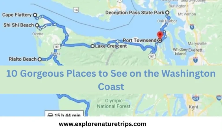 10 gorgeous places to see on the washington coast