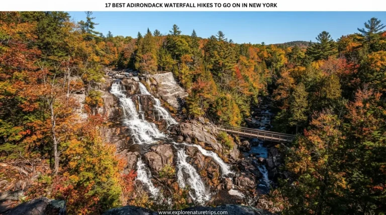 17 best adirondack waterfall hikes to go on in new york