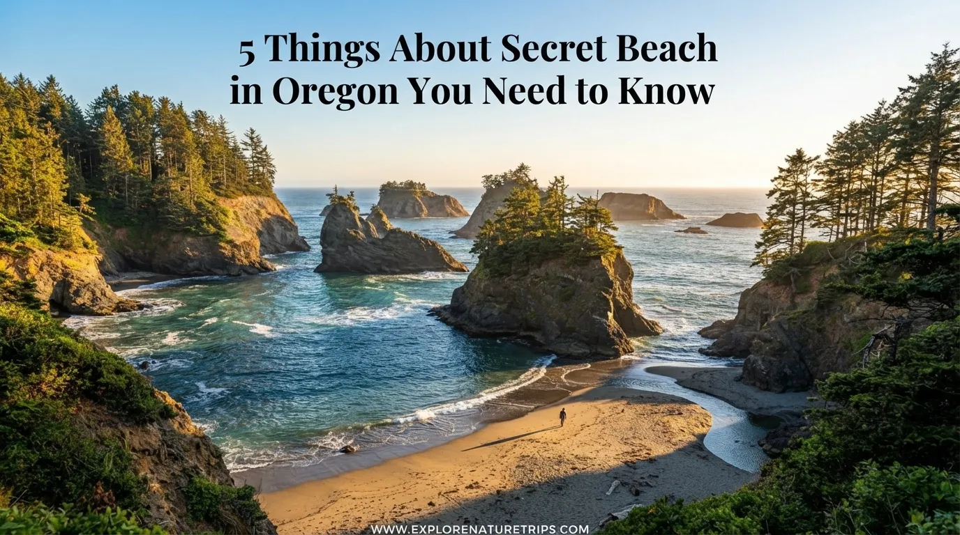 5 things about secret beach in oregon you need to know