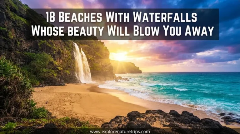 beaches with waterfalls whose beauty will blow you away