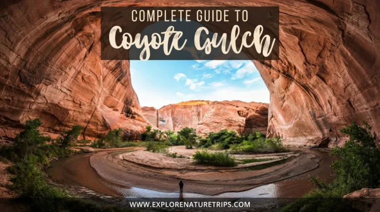how to navigate coyote gulch in one day routes & tips
