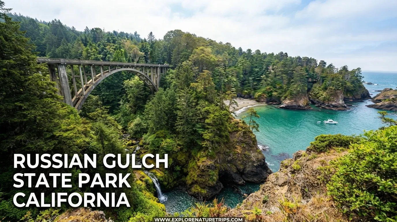 russian gulch state park california